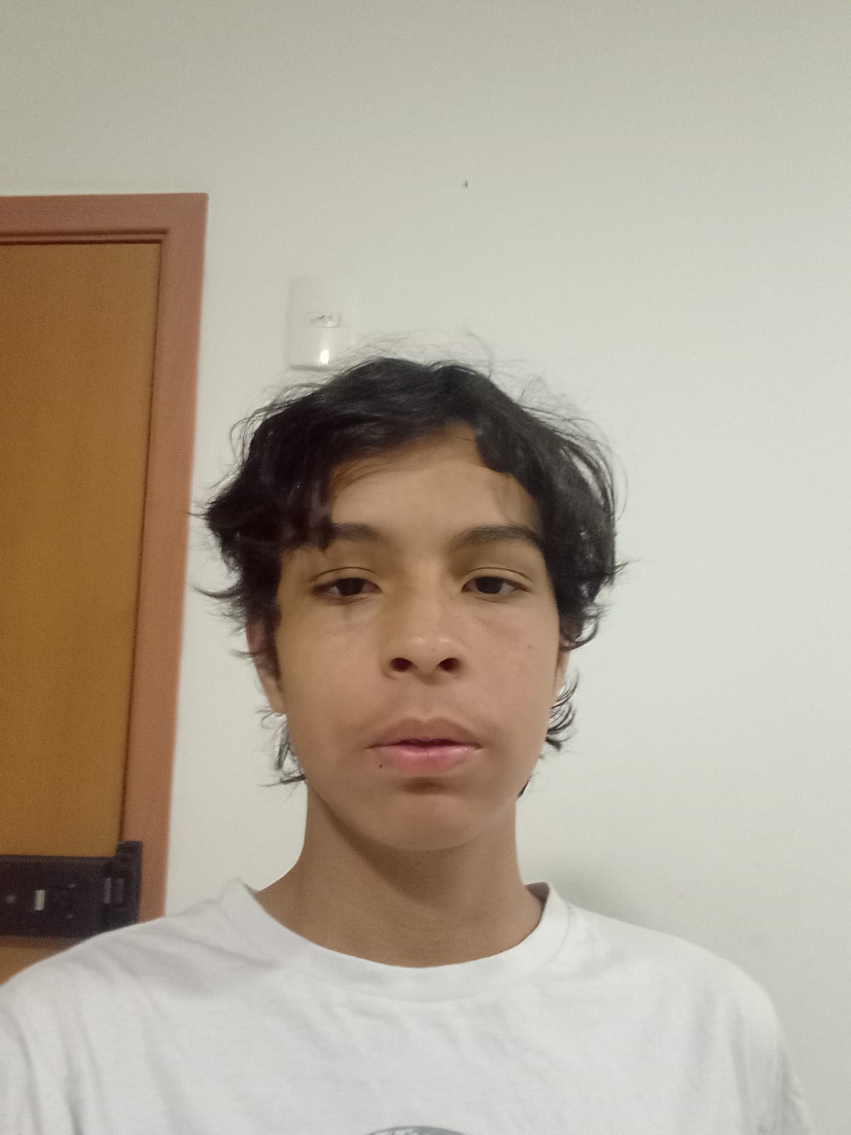 Pedro henrique borges rozette