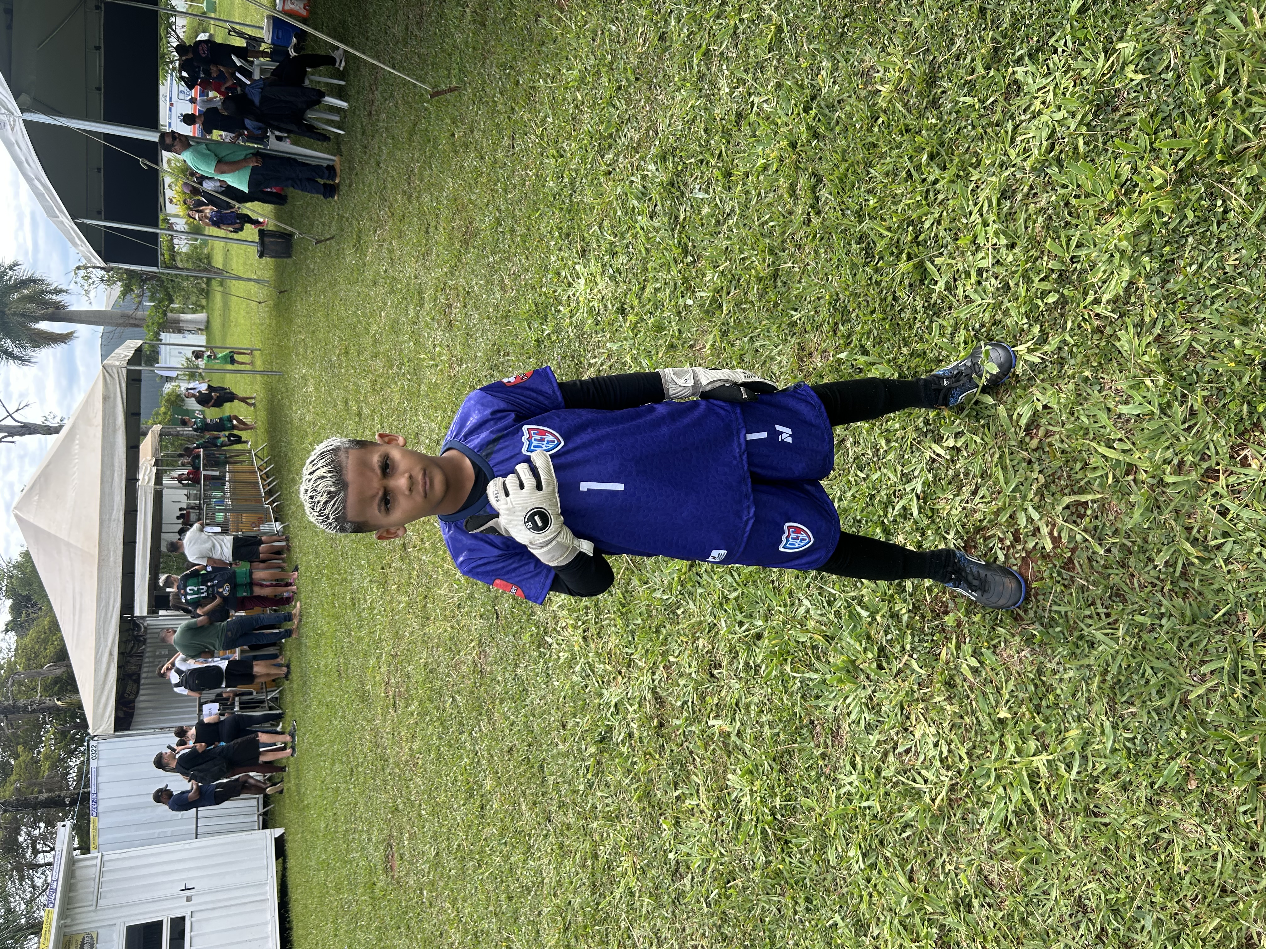 Theo Henrique dos Santos Soares