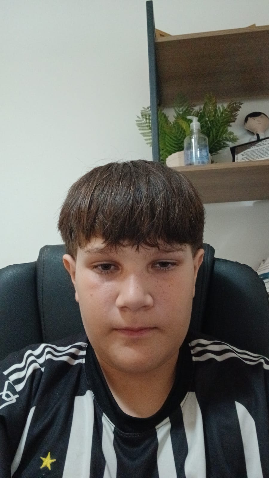 Miguel Insfran Naves