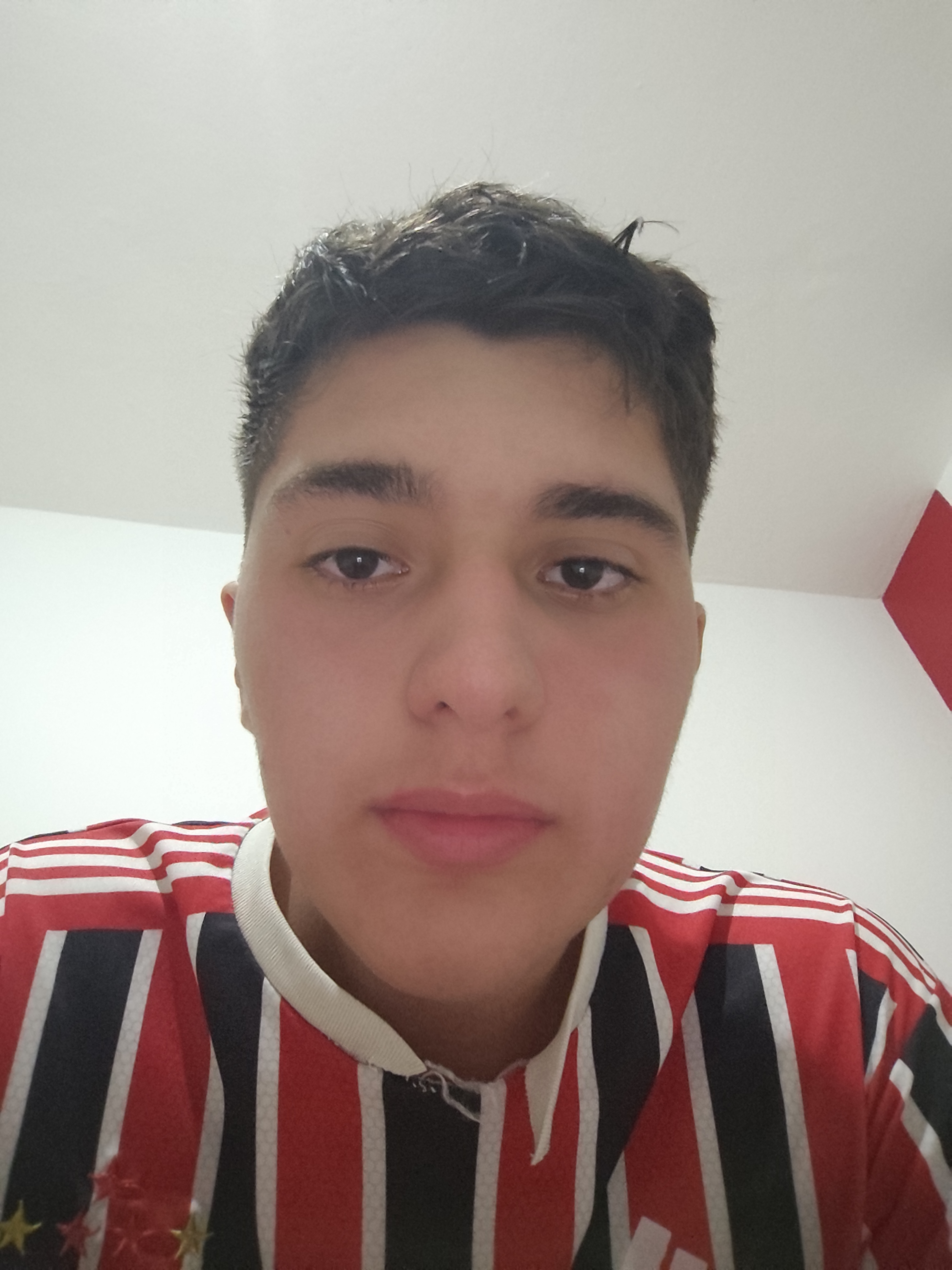 Davi Fagundes Monteiro Garcia