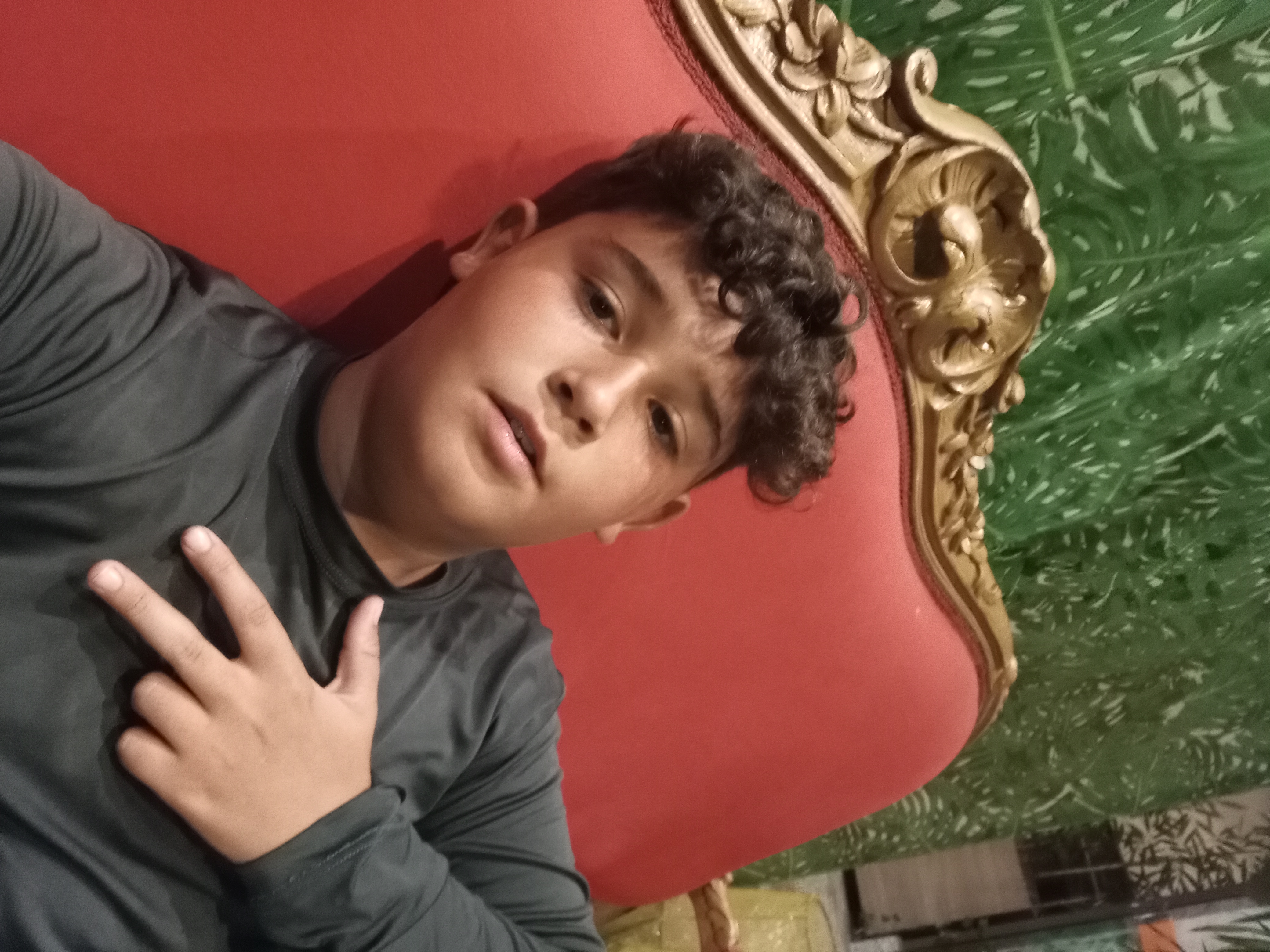 Gabriel Fernandes Menezes Lopes