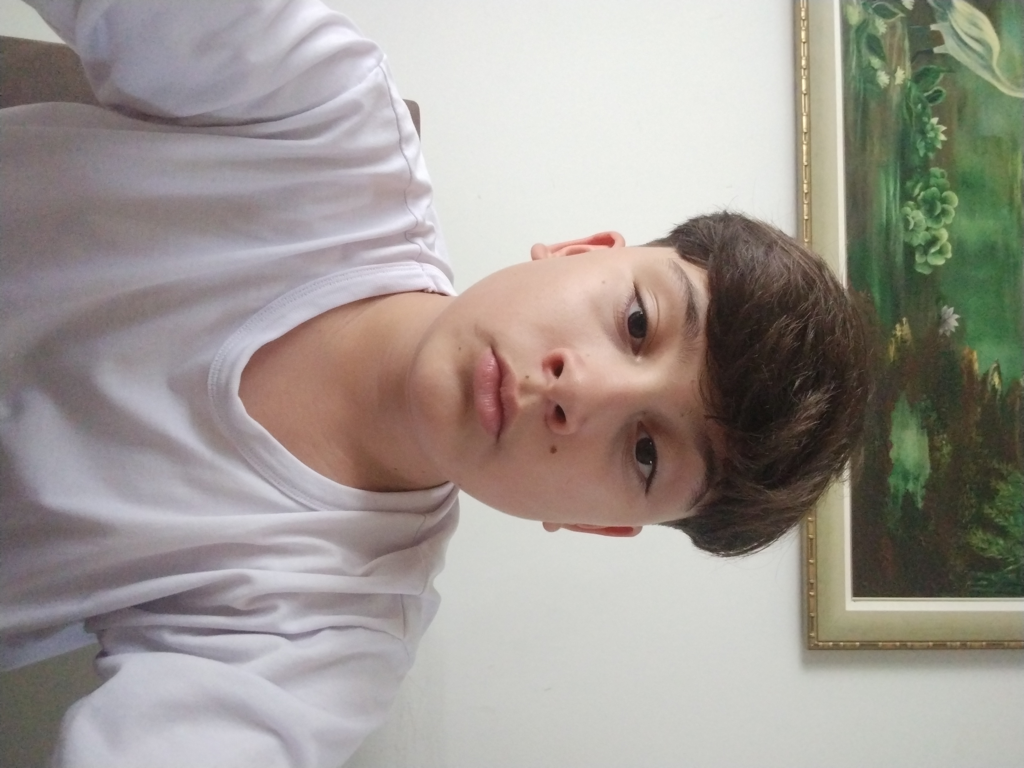 Pedro Henrique Martins Ribeiro