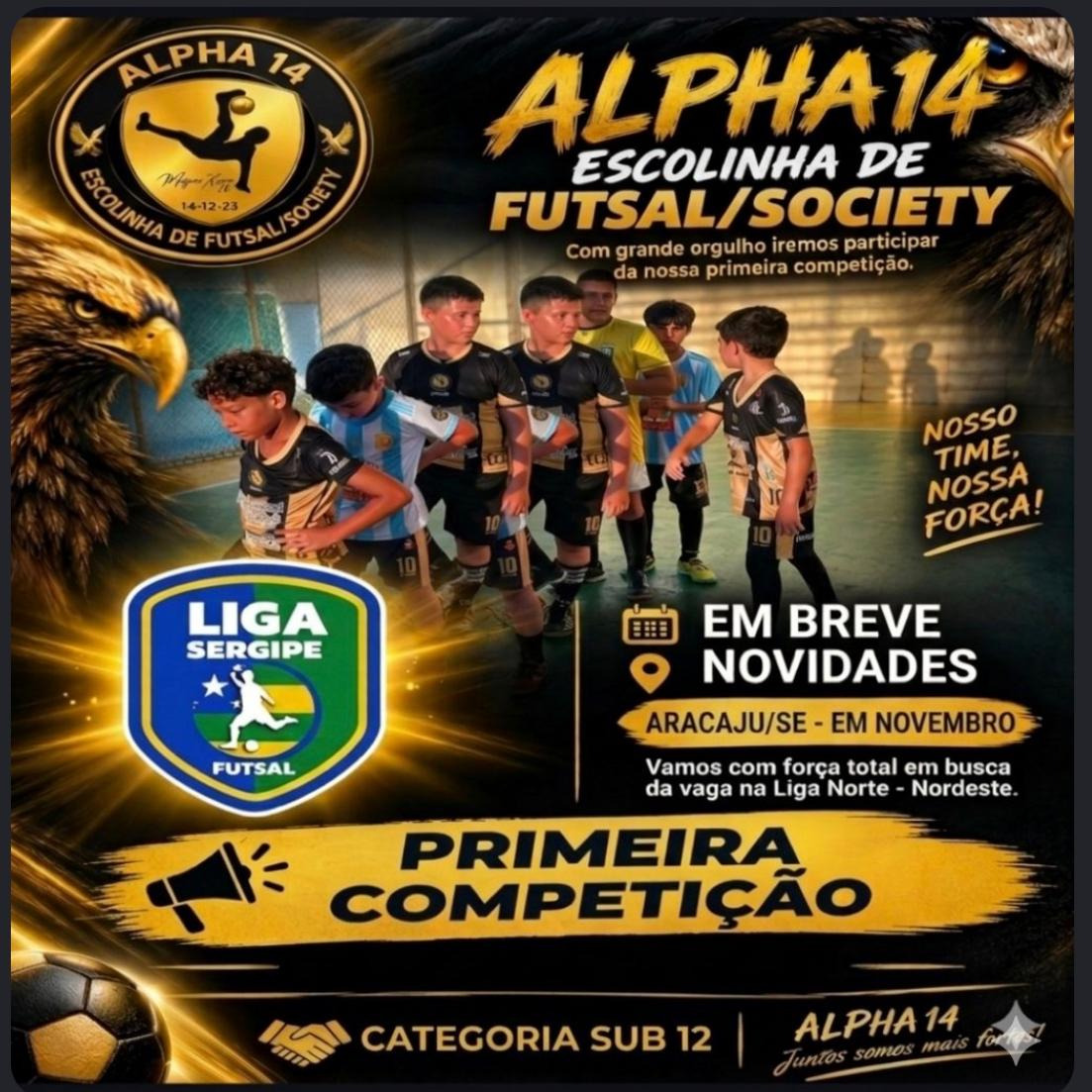 PRIMEIRA COMPETIÇÃO EM NOVEMBRO
