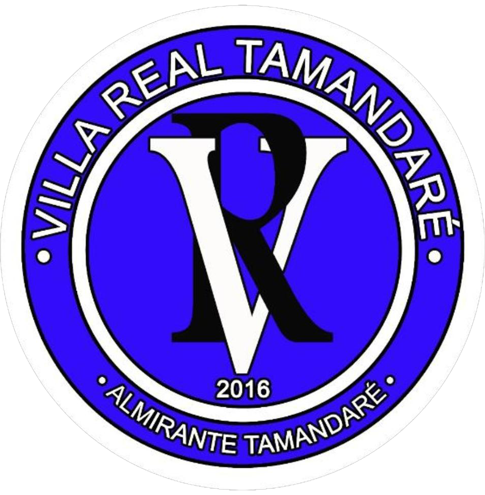 Visitante
