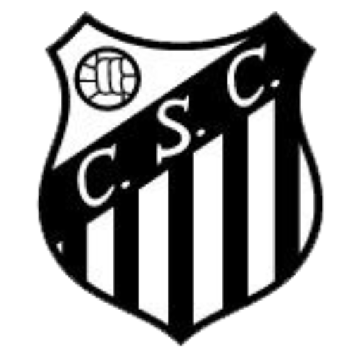Visitante